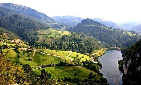 Tara Mountain