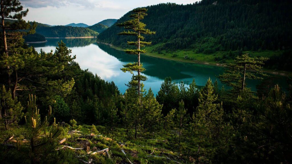 Zaovine Lake on Tara